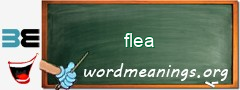 WordMeaning blackboard for flea